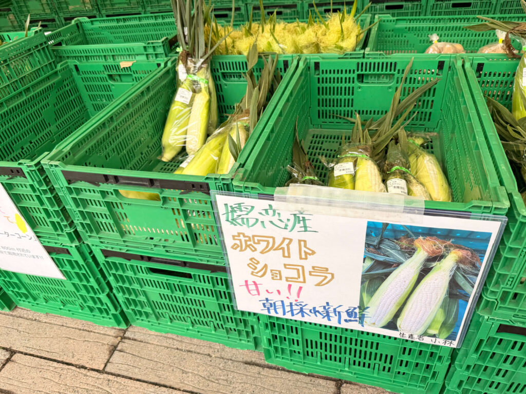 【ASAMA Park Field】浅間園オートキャンプ場